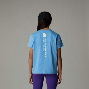 The North Face Vertical Graphic Relaxed Tişört Çocuk Mavi | NF0A14B7A